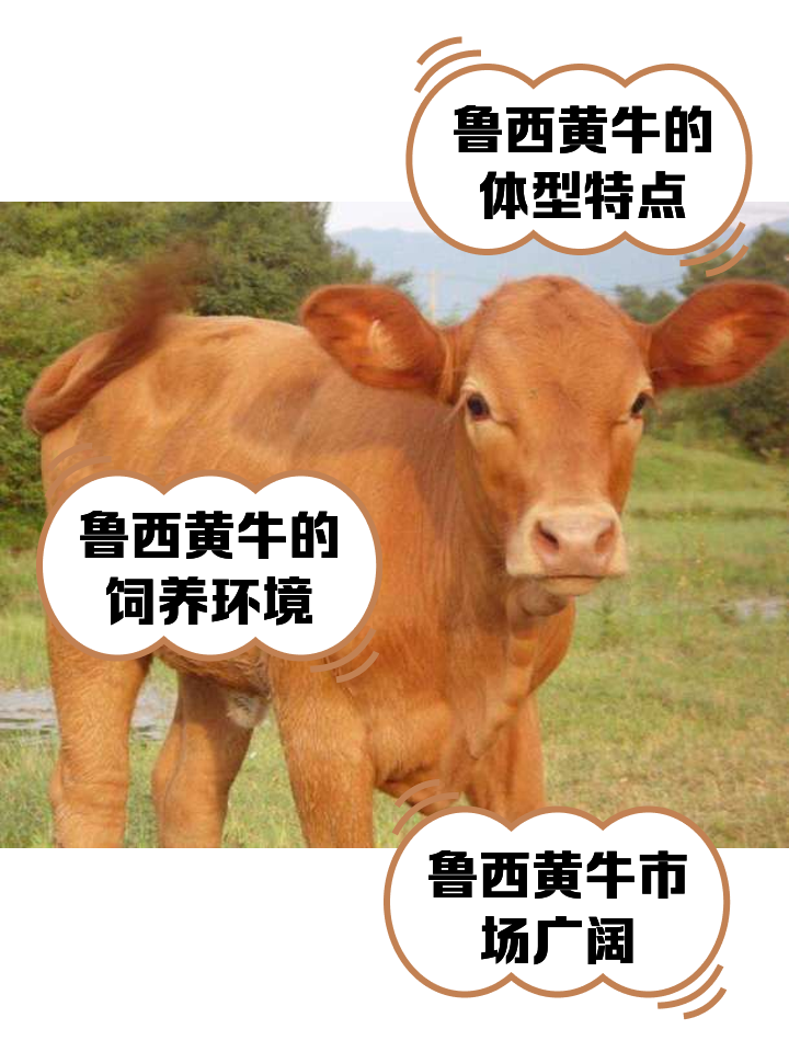 桦甸最新医保取现黄牛方法分析(最方便真实的桦甸医保取现黄牛怎么取方法)